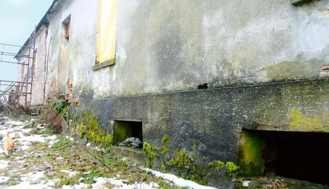 Sušenie stien – ako obnoviť vodorovnú hydroizoláciu a zbaviť sa vlhkosti?