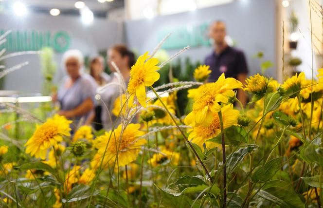 26. Международная выставка" GREEN IS LIFE "& 3. FLOWER EXPO POLSKA'2018 - краткая информация