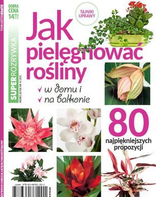 «Как выращивать растения дома и на балконе»