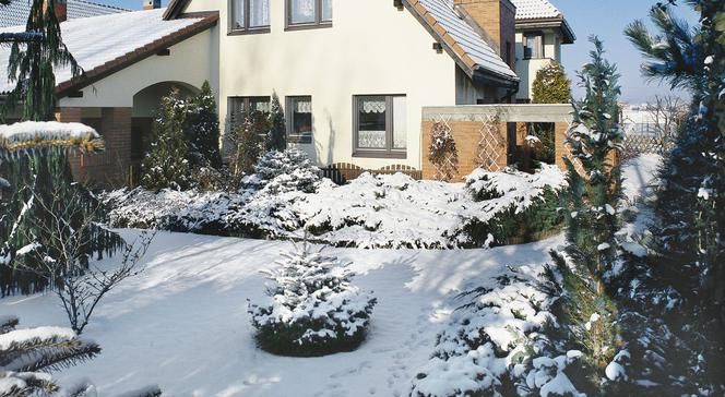 Február na záhrade: príprava záhrady na novú sezónu. Záhradné práce vo februári