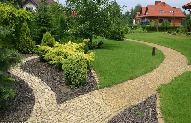 Cesta k krásnemu trávniku: príprava a starostlivosť