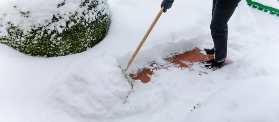 Odpratávanie snehu zo záhrady - čo a ako odpratávať sneh zo záhrady?