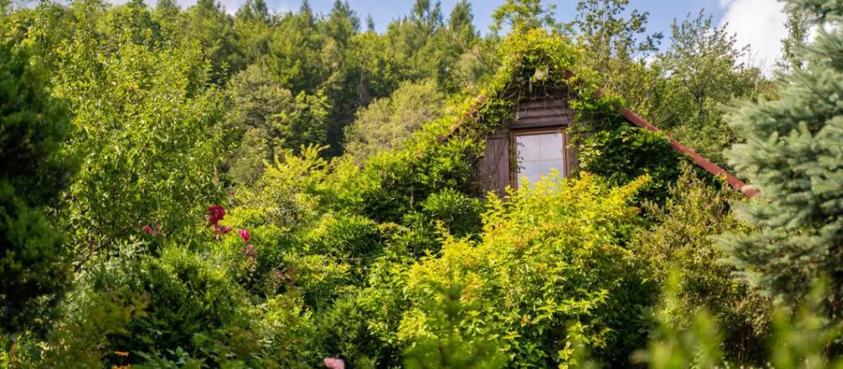 Как устроить огород на участке за городом. Сад на летние месяцы
