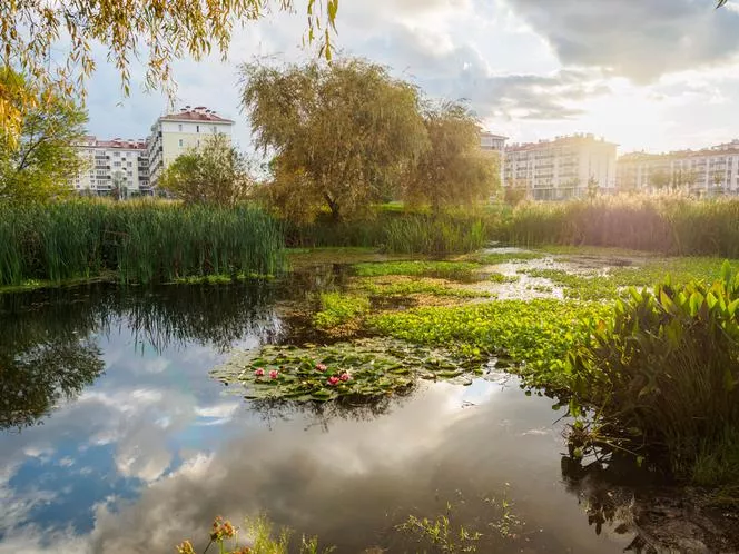 Экономия воды в саду - резервуар для сбора дождевой воды