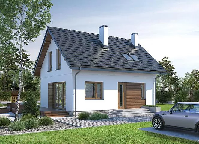 Pekný vchod do domu. Ako zariadiť vstupnú zónu v projektoch domov