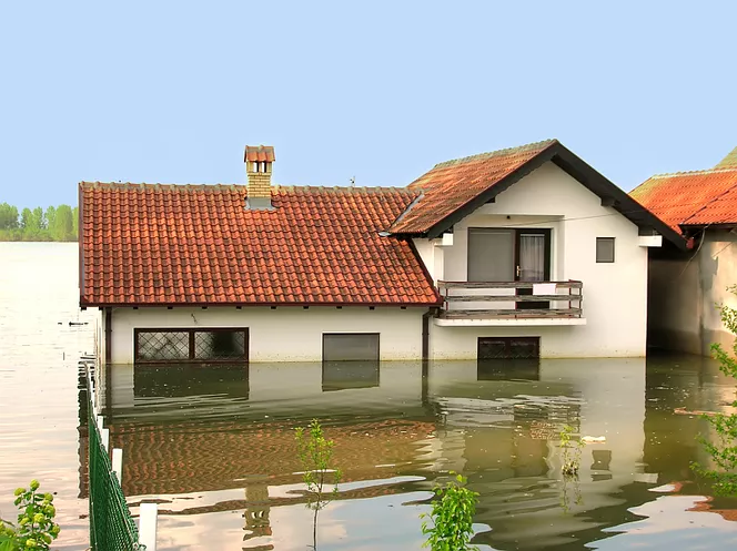 Какой насос для затопленного подвала? Как откачать воду из затопленного подвала?